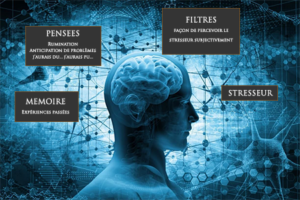 hypnose et stress Gestion du stress à Bordeaux hypnose