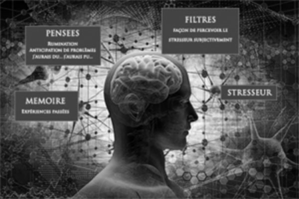 Hypnose et gestion du stress